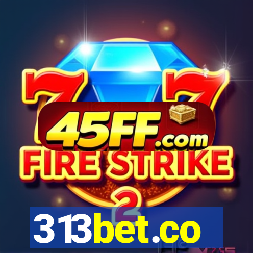 313bet.co