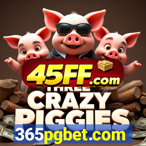 365pgbet.com