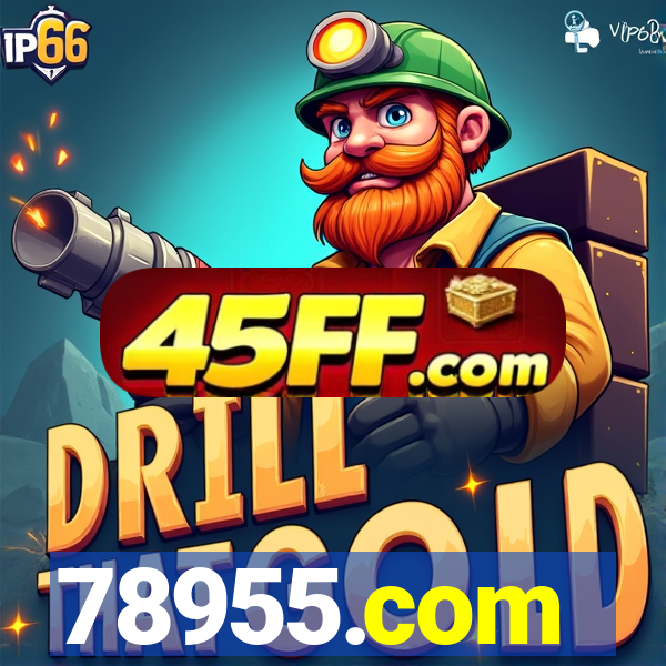 78955.com