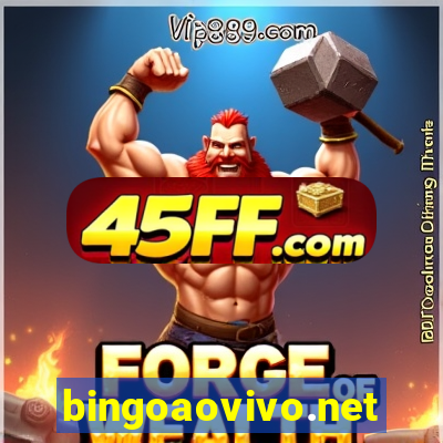 bingoaovivo.net
