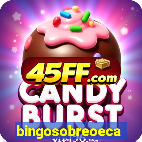 bingosobreoeca