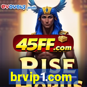 brvip1.com