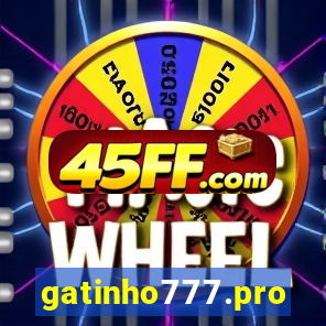 gatinho777.pro
