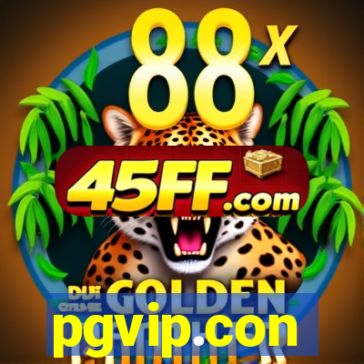 pgvip.con