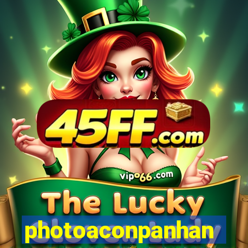 photoaconpanhante.