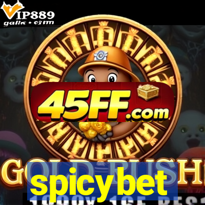 spicybet-2.com