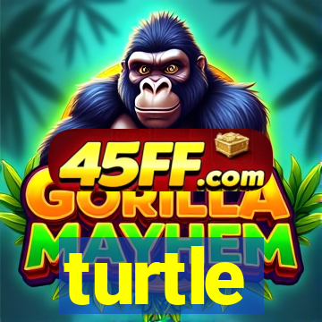 turtle-ty.com