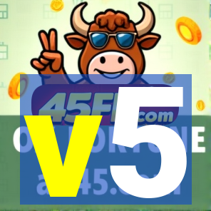 v5-lewa.com